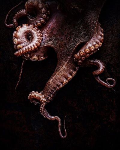 CR深海伝説MR：謎に包まれた深海の秘密